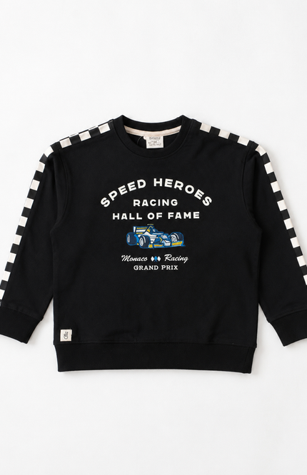 Checkered Stripe Crewneck Sweatshirt