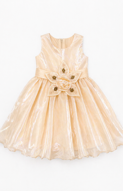 Kids Pink Princess Party Gown with Statement Flower Appliqué