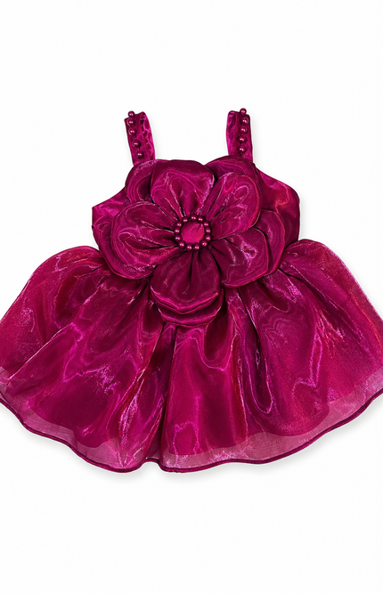 Floral Appliqué Party Dress