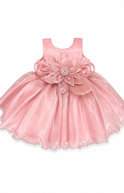 Organza Party Dress with Floral Waist Appliqué