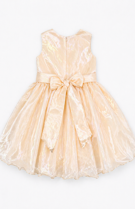 Kids Pink Princess Party Gown with Statement Flower Appliqué