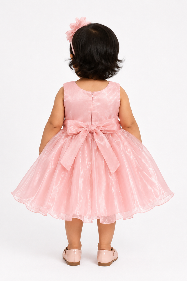 Organza Party Dress with Floral Waist Appliqué