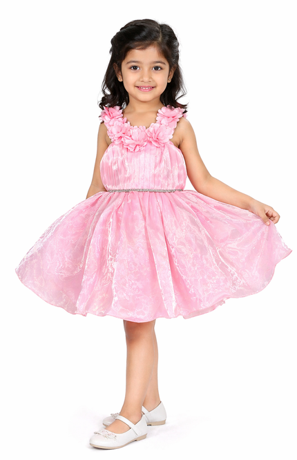 Pink Floral Organza Party Dress for Girls