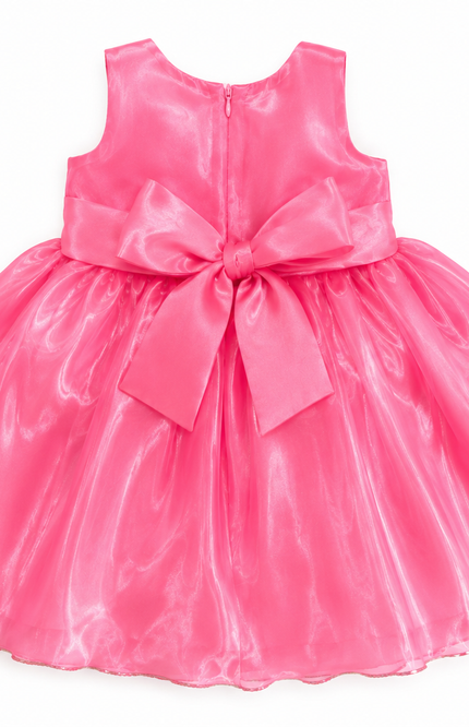 Girls Organza Party Dress with Bow