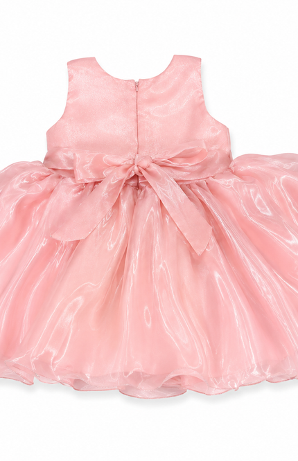 Organza Party Dress with Floral Waist Appliqué